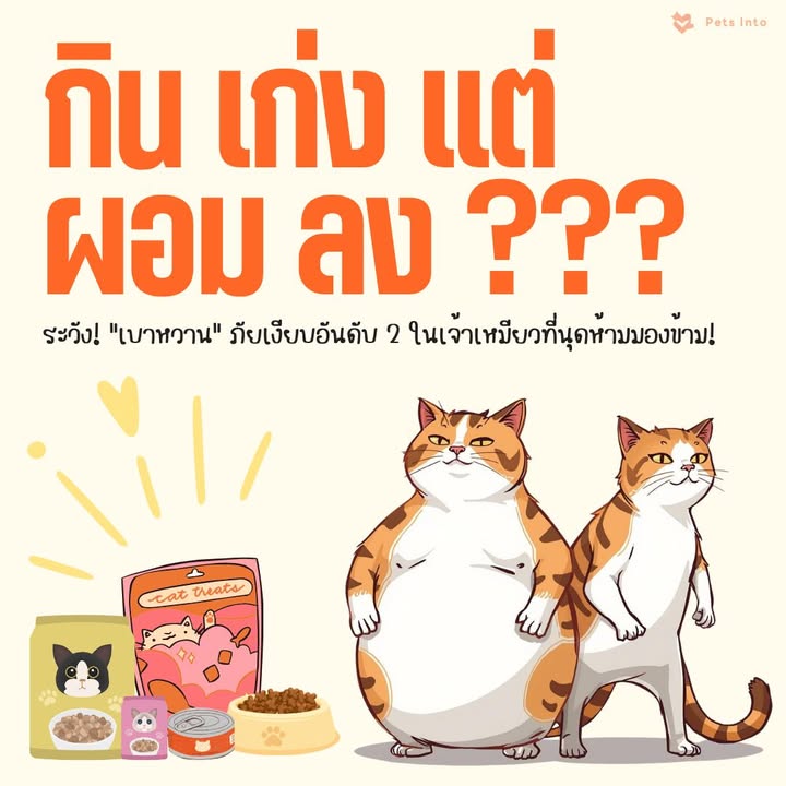 Post preview