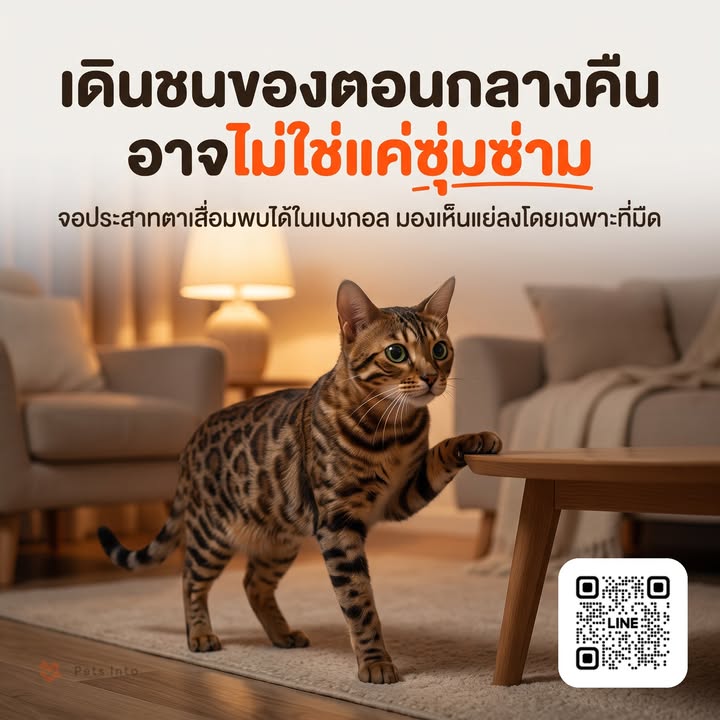 Post preview