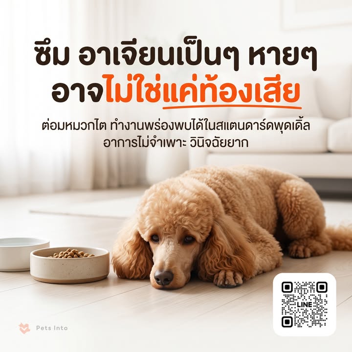 น้องหมาซึม อ่อนแรง อาเจียนหรือท้องเสียเป็นๆ หายๆ ใครว่าแค่กินอะไรผิด