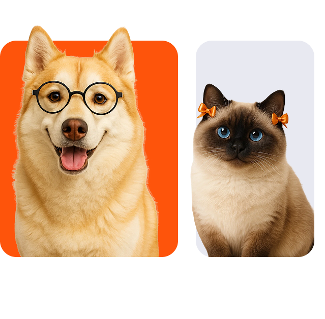 Pets Into - บริการปรึกษาสัตว์แพทย์ออนไลน์