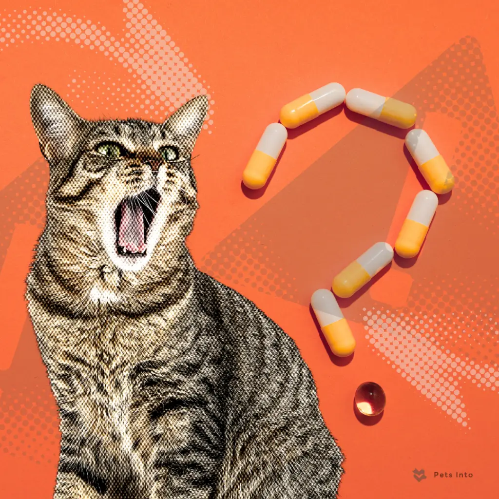 สิ่งของอันตราย สัตว์เลี้ยง ปลอดภัย อันตรายสัตว์เลี้ยง ระวัง ดูแล petsinto.com