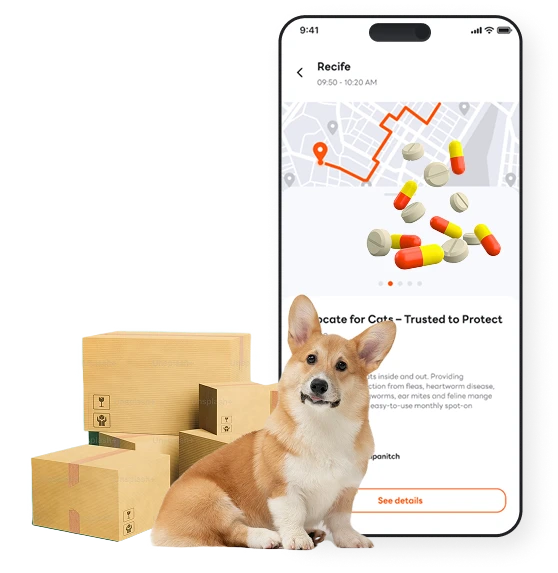 บริการส่งยา แอปพลิเคชั่น Pets Into petsinto.com