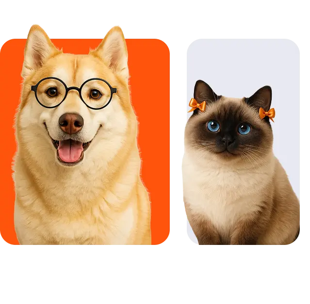 ปรึกษาสัตวแพทย์ออนไลน์ หมา แมว petsinto.com